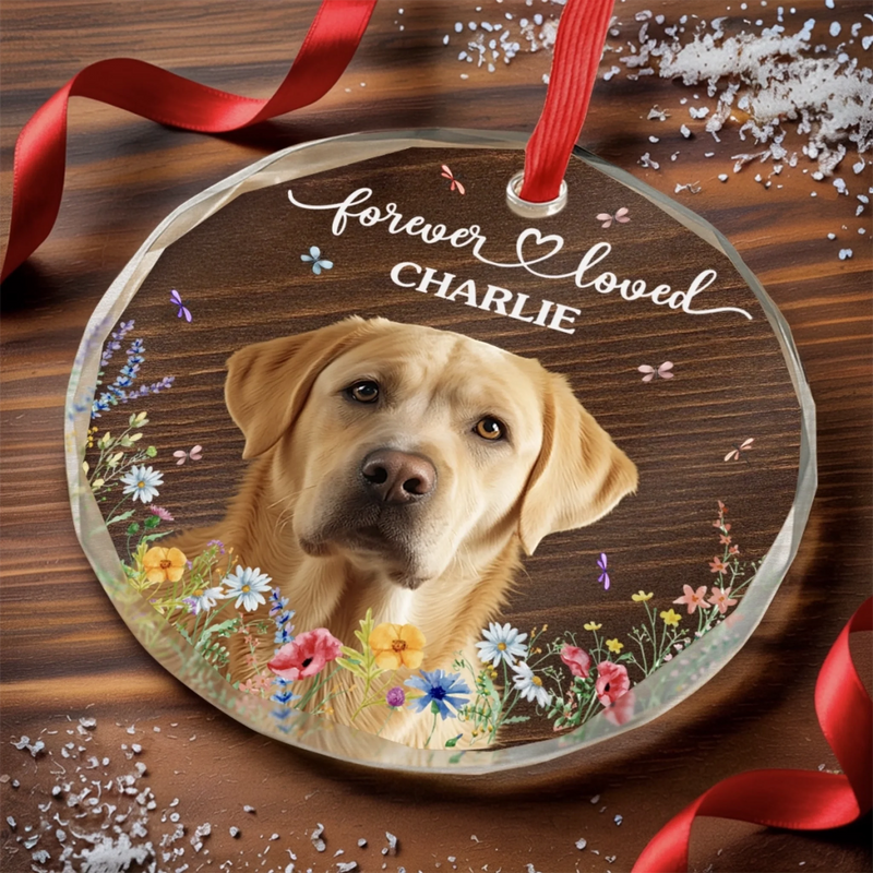 Custom Photo Circle Glass Ornament - Personalized Pet Christmas Memorial Sympathy Gifts For Dogs, Cats - Love That Never Fades