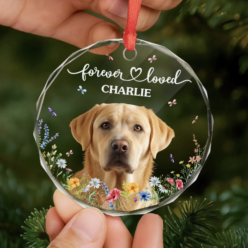 Custom Photo Circle Glass Ornament - Personalized Pet Christmas Memorial Sympathy Gifts For Dogs, Cats - Love That Never Fades