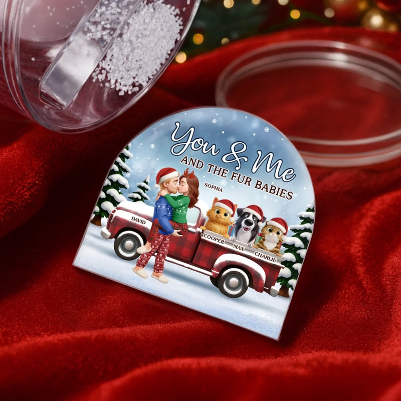 Custom Acrylic Snow Globe - Personalized  Anniversary Christmas Wedding Gifts For Husband And Wife, Dog Cat Lovers, Dog Dad And Mom, Cat Owners - You And Me