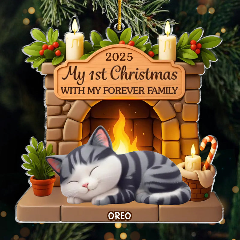 Custom First Christmas Acrylic Ornament - Personalized Christmas Birthday Gifts For Cat Lovers, Cat Mom And Dad - With My Forever Family