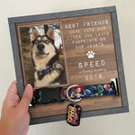 Custom Photo Pet Loss Sign, Collar Frame - Personalized Pet Memorial Sympathy Gifts For Dog Lovers - Run Free Over Rainbow Bridge