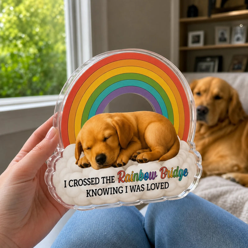 Custom Photo Forever In My Heart - Memorial Personalized Custom Acrylic Plaque Custom Shape - Sympathy Gift For Pet Owners, Pet Lovers