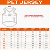 Custom USA World Football Pet Jersey - Personalized Birthday Gifts For Football Dog Cat Lovers, Dog Dad And Mom, Cat Owners - Furry Patriot On The Field