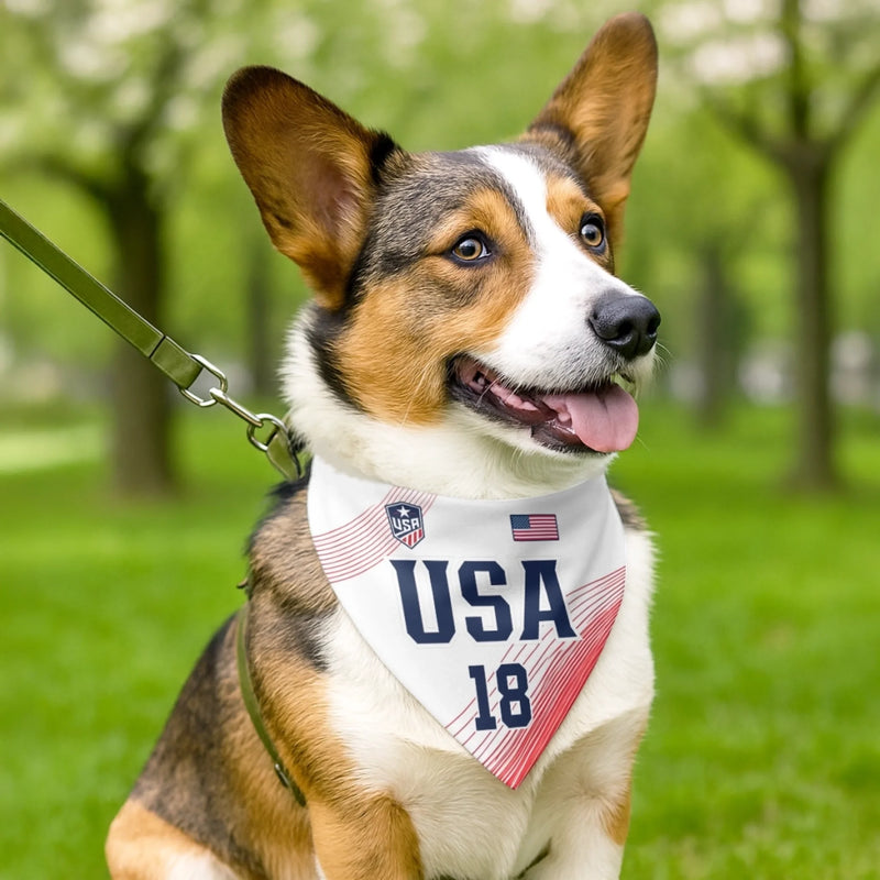 Custom USA World Football Pet Bandana - Personalized Birthday Gifts For Football Dog Cat Lovers, Dog Dad And Mom, Cat Owners - The Real MVP Has Four Paws