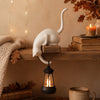Cat Hook Bookshelf Lantern Light - Bookish Gifts For Book Lovers, Bookworms, Cat Mom And Dad - Purrfect Reading Companion