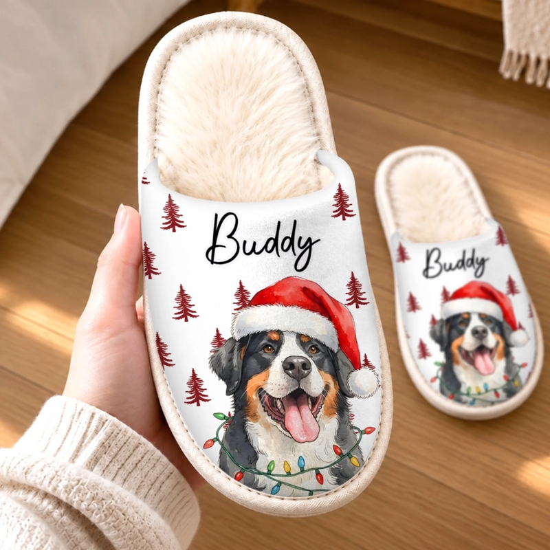 Custom Photo Flat Scuff Slippers - Personalized Christmas Birthday Gifts For Dog Cat Lovers, Dog Dad And Mom, Cat Owners - My Coziest Companion
