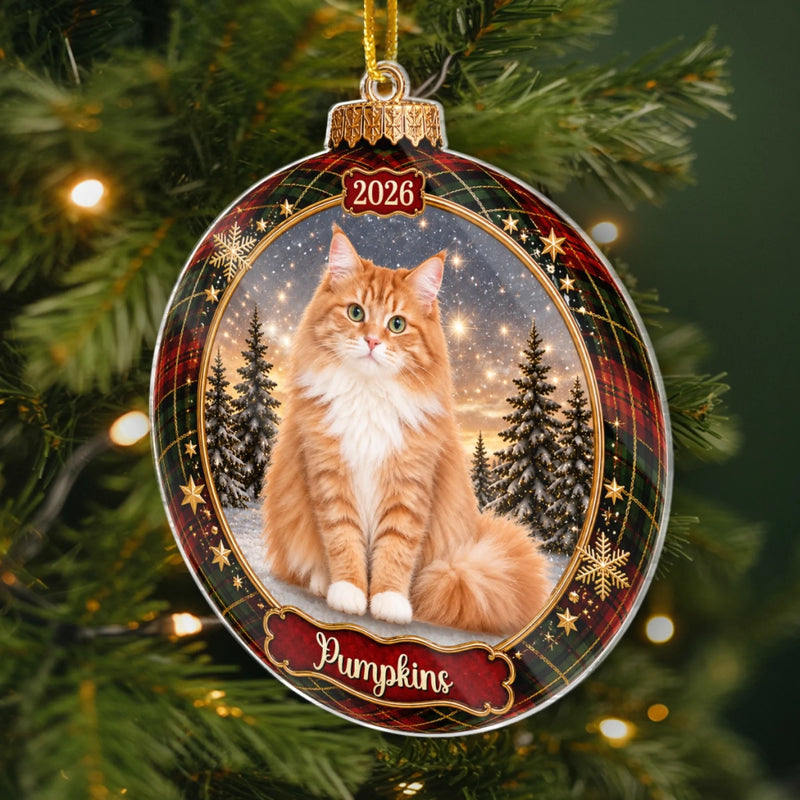 Custom Photo Acrylic Ornament - Personalized  Christmas Birthday Gifts For Dog Cat Lovers, Dog Dad And Mom, Cat Owners - Twinkling With Pet Love