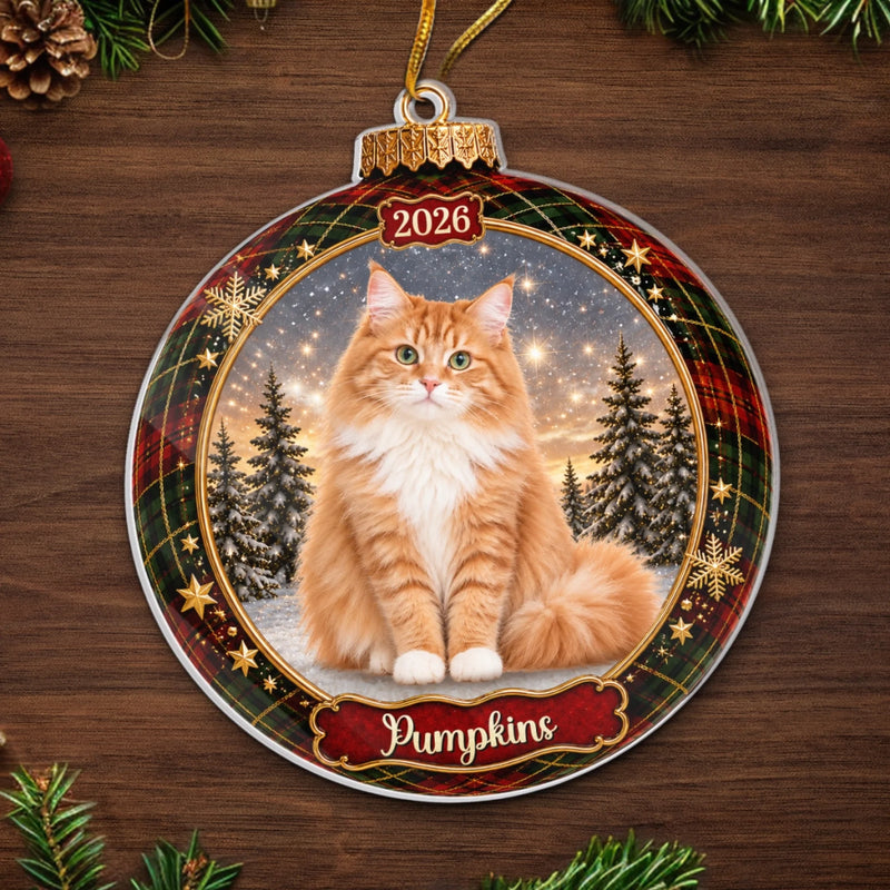 Custom Photo Acrylic Ornament - Personalized  Christmas Birthday Gifts For Dog Cat Lovers, Dog Dad And Mom, Cat Owners - Twinkling With Pet Love