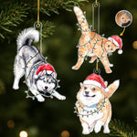 Custom Photo Festive Pet Christmas Gifts - Personalized Acrylic Ornament