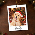 Custom Funny Pet Selfie Photo Christmas Gifts For Dog Cat Lovers - Personalized Acrylic Ornament
