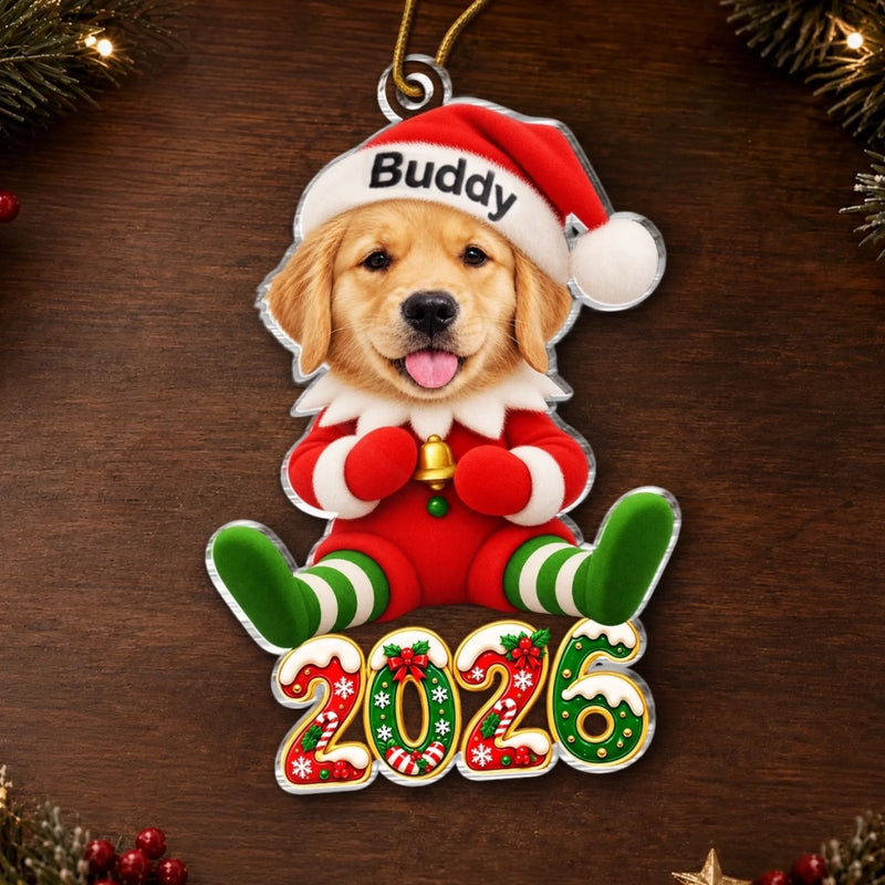 Custom Pet Photo Santa Character Christmas Decor Gifts For Dog Lovers, Cat Lovers - Personalized Acrylic Ornament