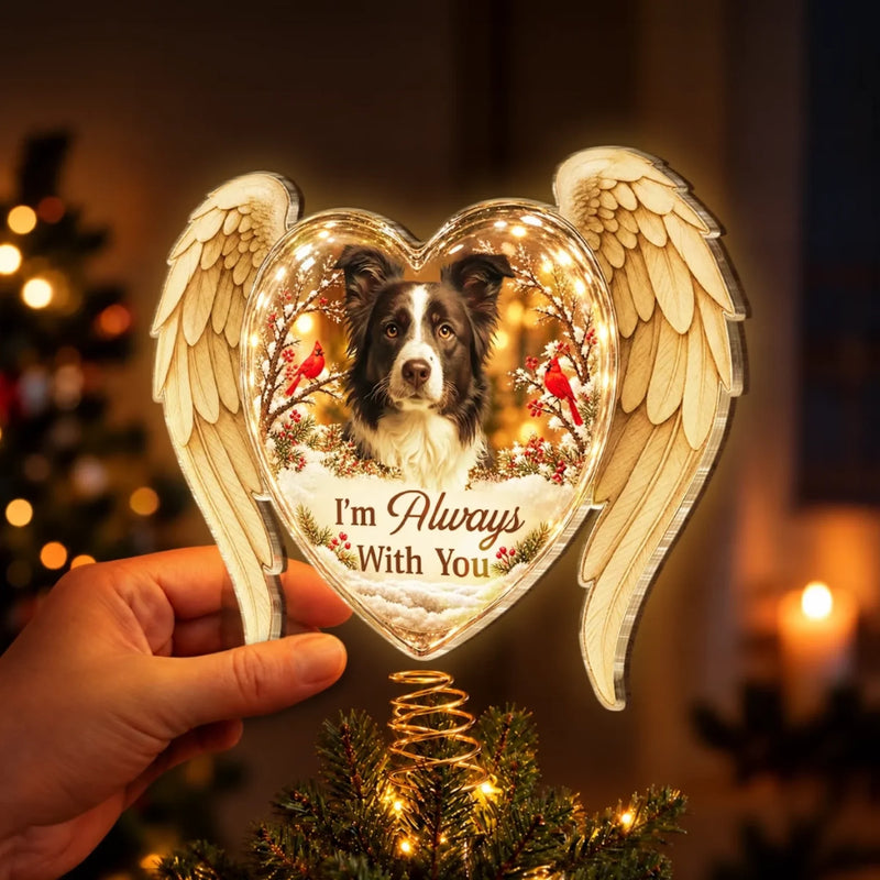 Custom Pet Photo Memorial Christmas Decor - Personalized LED Tree Topper