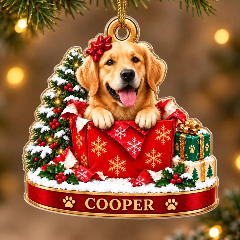 Custom Pet Portrait Christmas Keepsake Gifts - Personalized Acrylic Ornament