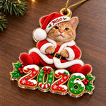 Custom Pet Photo Santa Christmas Keepsake - Personalized Acrylic Ornament