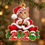 Custom Pet Photo Santa Christmas Keepsake - Personalized Acrylic Ornament