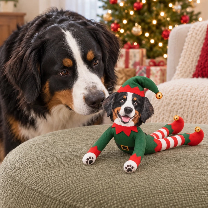 Custom Photo Christmas Elf Doll Gifts For Dog And Cat Lovers - Personalized Poseable Plush Doll