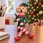 Custom Photo Christmas Elf Doll Gifts For Dog And Cat Lovers - Personalized Poseable Plush Doll
