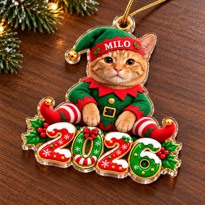 Custom 2026 Christmas Elf Pet Decor - Personalized Acrylic Ornament