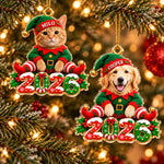 Custom 2026 Christmas Elf Pet Decor - Personalized Acrylic Ornament