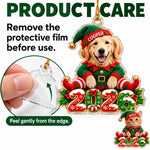 Custom 2026 Christmas Elf Pet Decor - Personalized Acrylic Ornament