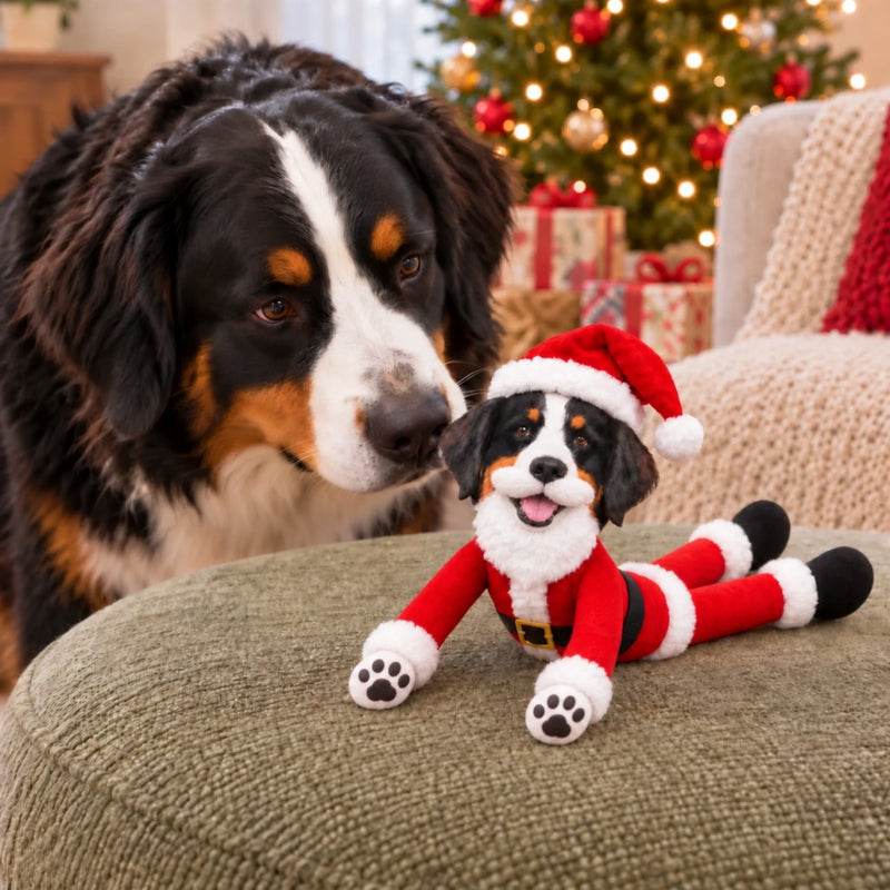 Custom Photo Santa Beard Christmas Gifts - Personalized Poseable Plush Doll