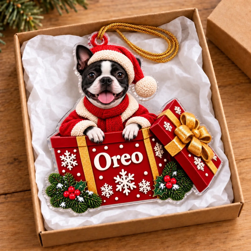 Custom Name Peeking Pet Gift Box Christmas Decor - Personalized Acrylic Ornament