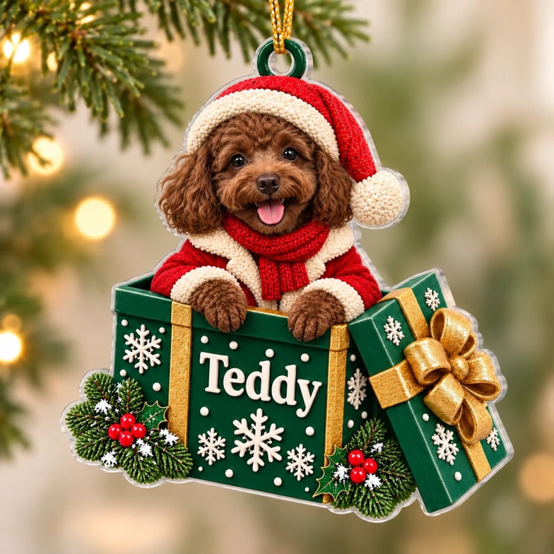 Custom Name Peeking Pet Gift Box Christmas Decor - Personalized Acrylic Ornament