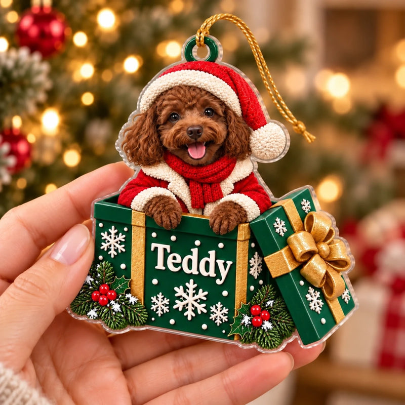 Custom Name Peeking Pet Gift Box Christmas Decor - Personalized Acrylic Ornament