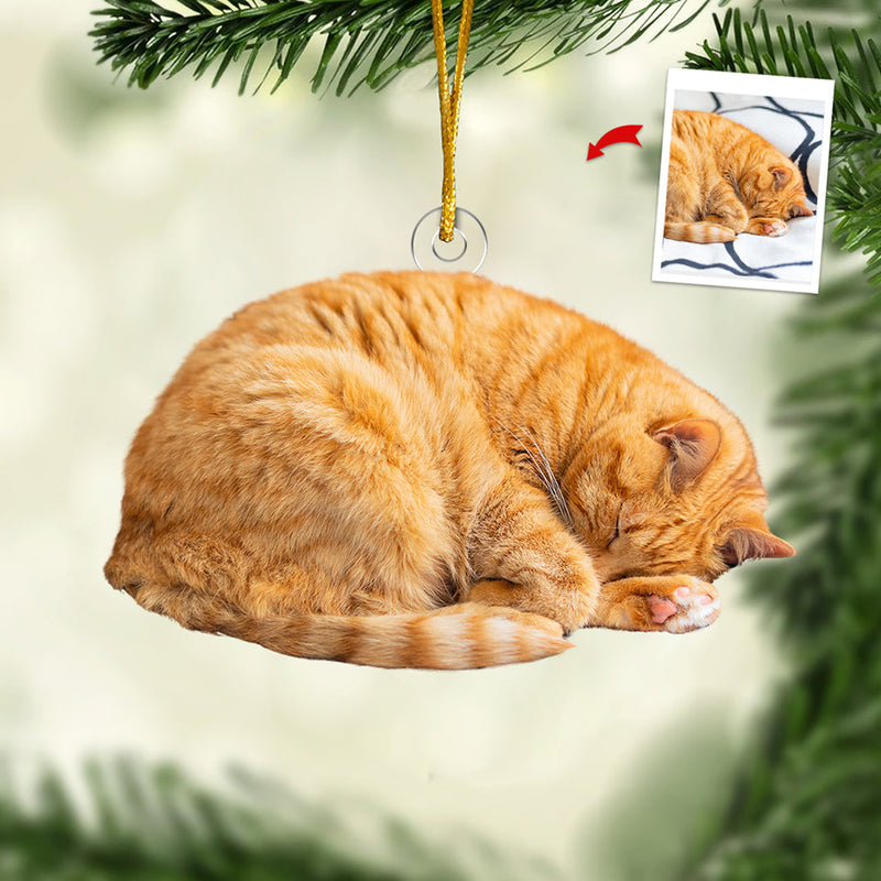 Custom Photo On The Naughty List - Dog & Cat Personalized Custom Ornament - Acrylic Custom Shaped - Christmas Gift For Pet Owners, Pet Lovers