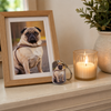 Custom Photo Forever My Furry Angel - Memorial Personalized Custom Keychain - Sympathy Gift For Pet Owners, Pet Lovers